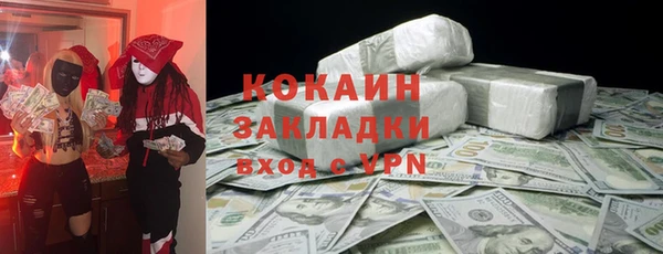 шишки Няндома